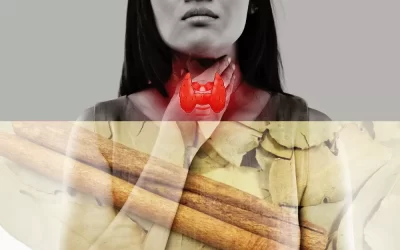 Daun salam dan kayu manis pada hipotiroidisme