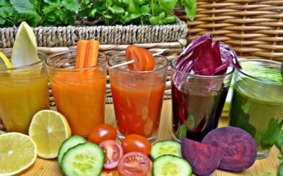 Process of Digestion, Absorption and Transportation of Nutrients Process of Digestion, Absorption and Transportation of Nutrients