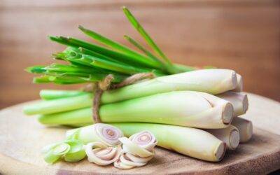 17 Manfaat Kesehatan Berbasis Lemon Rumput