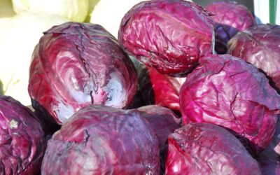 12 Health Benefits of Purple Cabbage