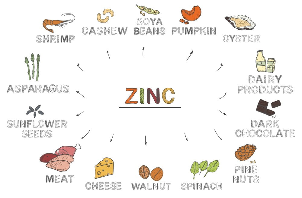 14 Makanan Kaya Seng yang Meningkatkan Daya Imunisasi Anda