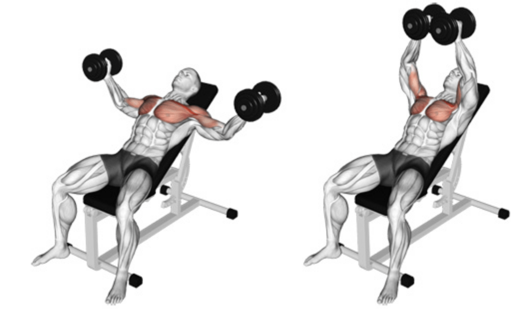 Miringkan dumbbell lalat