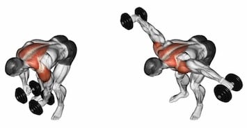 Dumbbell yang berdiri tegak berdiri