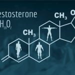 12 benefícios importantes do nível ideal de testosterona