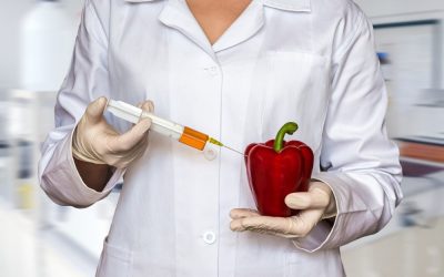 What is Food Pollution or Food Adulteration: Types and Recommendation What is Food Pollution or Food Adulteration: Types and Recommendation