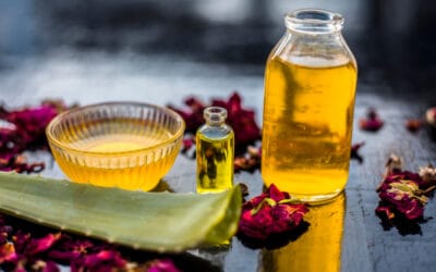 10 Benefits of Tea Tree Shampoo and Conditioner With Side Effects