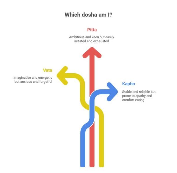 Understanding the Doshas info